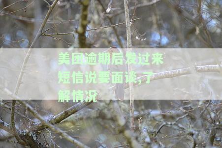 美团逾期五天收到短信说催收上门调查，美团逾期五天，收到催收短信并威胁将上门调查