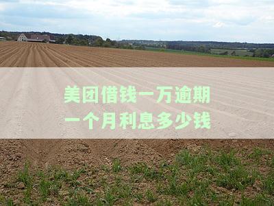 美团平台欠款一万多逾期一年了会有什么后果？