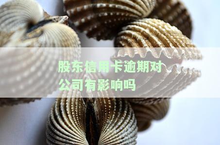 股东信用卡逾期对公司有影响吗知乎，股东信用卡逾期是否会影响公司？探讨其潜在风险和解决方案