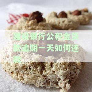 建行公积金贷款逾期怎么办，如何解决建行公积金贷款的逾期问题？