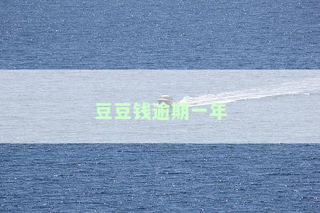 豆豆钱逾期一年突然让还款,准备还清,怕被骗，豆豆钱逾期一年，突然要求还款，该不该立即还清？