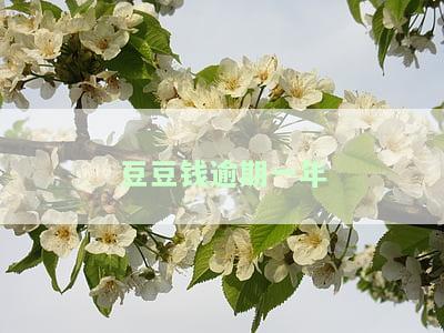 豆豆钱逾期一年是否会被起诉？会上门催收吗？逾期后果严重吗？逾期两个月被告知将被起诉是真的吗？