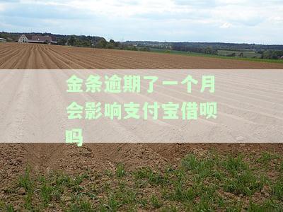 金条逾期了一个月会影响支付宝借呗吗