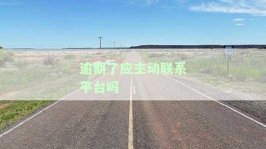 逾期了应主动联系平台吗？如何处理及与客服沟通还款