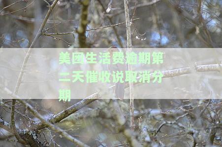 美团借款逾期几天就要取消分期？真实情况解析