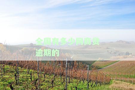 全国有多少网商贷逾期的