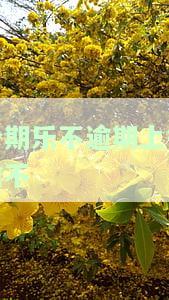 分期乐没逾期过，会否影响我贷款买房？需上个人征信吗？