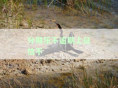 分期乐2020不上征信,已证实！