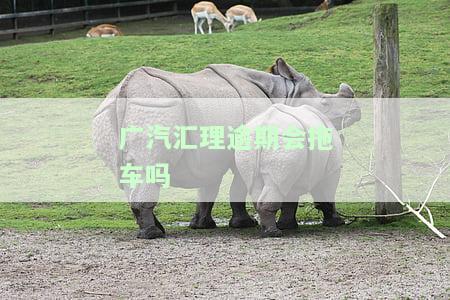 汽汇理有宽限期吗？能期扣款吗？