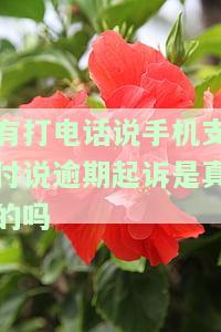 有打电话说手机支付说逾期起诉是真的吗-有打电话说手机支付说逾期起诉是真的吗花呗逾期15天