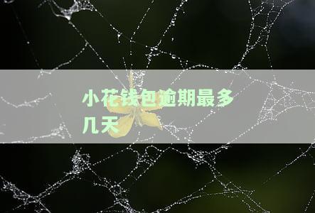 小花钱包逾期多久会起诉,欠17000元，警惕！小花钱包逾期未还，欠款17000元可能面临被起诉的风险