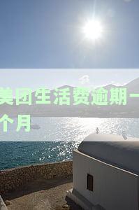 美团生活费逾期一个月，会对征信产生影响吗？