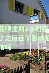 花呗还款逾期了几个小时对信用会有影响吗，小疑问大解答：花呗还款逾期几个小时会影响信用记录吗？