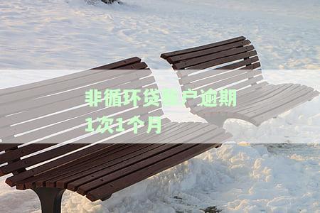 非循环贷账户逾期1次1个月会怎样，了解非循环贷账户逾期：一次1个月的影响