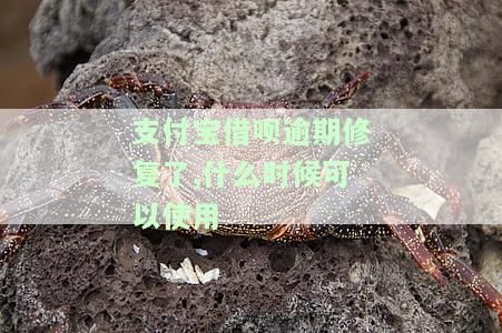 支付宝借呗逾期修复了,什么时候可以使用