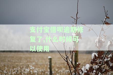 支付宝借呗逾期修复了,什么时候可以使用
