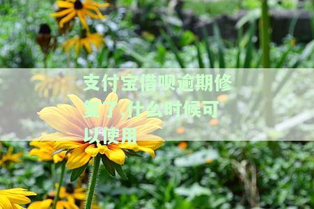 支付宝借呗逾期修复了,什么时候可以使用