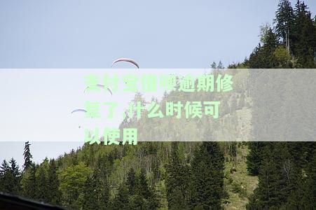 支付宝借呗逾期修复了,什么时候可以使用