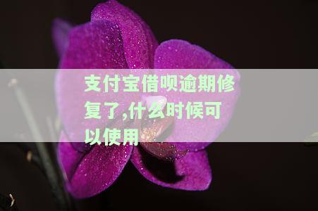 支付宝借呗逾期修复了,什么时候可以使用