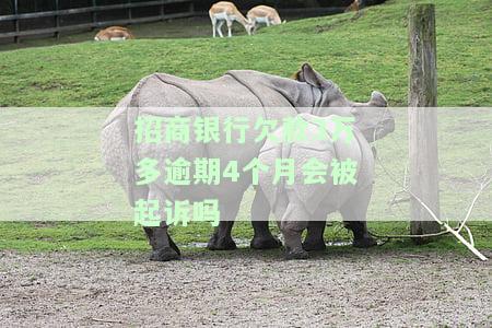招商银行欠款3万多逾期4个月是否会被起诉？知乎探讨