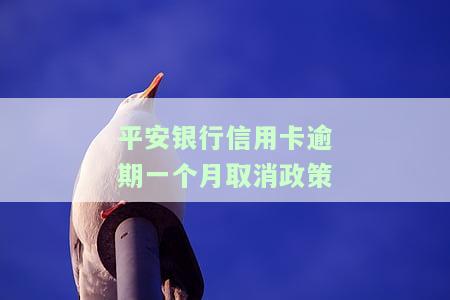 平安信用卡逾期一个月，逾期警示：平安信用卡未能按时还款，已逾期一个月！