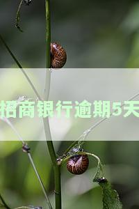招商银行逾期5天，为何未计算违约金及逾期利息？