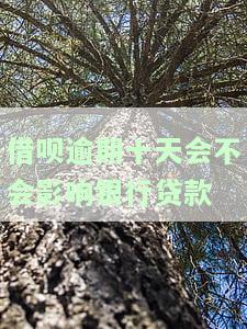 借呗逾期十天会影响征信吗？解决方案及知乎经验分享