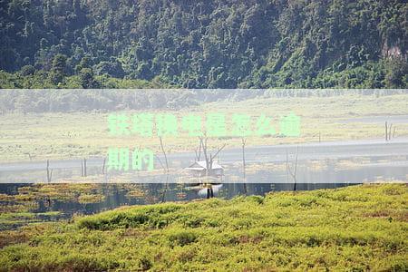 铁塔换电能退吗？答案在这里！
