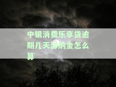 中银消费金融乐享贷多久下款，快速申请，立即放款！中银消费金融乐享贷下款时间详解