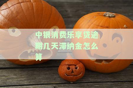 中银消费乐享贷逾期几天滞纳金怎么算-中银消费乐享贷逾期几天滞纳金怎么算的