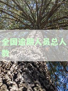 全国逾期人数2021，揭示全国逾期人群现状：2021年数据解析