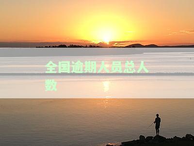 全国逾期率，透视全国逾期率：揭示信贷市场风险与机遇
