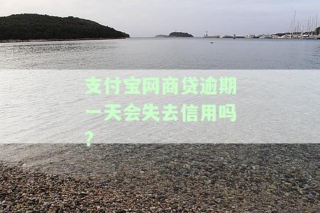支付宝网商贷逾期一天会影响信用度吗？知乎讨论