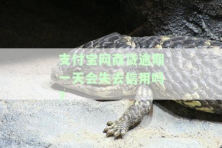 支付宝网商贷逾期一天会失去信用吗安全吗，支付宝网商贷：逾期一天会影响信用吗？安全性如何？