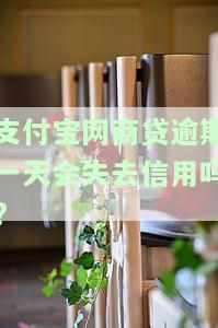 支付宝网商贷逾期一天后果居然挺严重，惊！支付宝网商贷逾期一天的后果竟然如此严重！