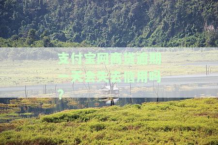 支付宝网商贷逾期一天会失去信用吗?