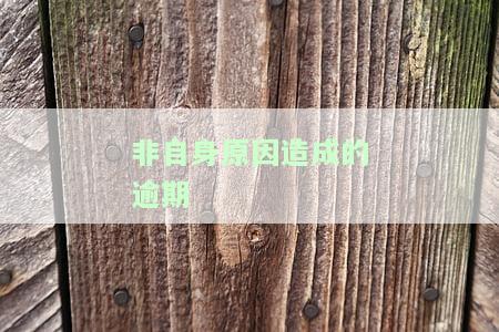非自身原因造成逾期模板，理解非自身原因造成逾期：关键模板解析