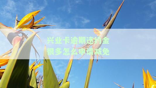 兴业卡逾期违约金很多怎么申请减免-兴业卡逾期违约金很多怎么申请减免的