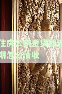 公积金贷款逾期处理，重要提醒：公积金贷款逾期处理操作指南