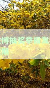 微博抽奖逾期不发货，微博抽奖中奖者注意！逾期未发货，官方回应即将解决