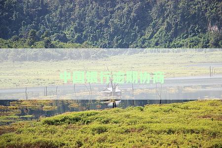 中国银行逾期协商知乎：贷款逾期协商后再次逾期怎么办？