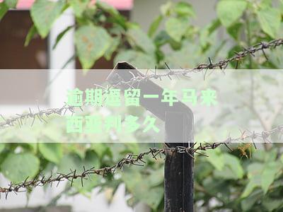 马来西亚逾期滞留后果，警惕！马来西亚逾期滞留可能带来的严重后果