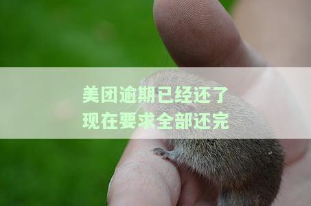 美团逾期已经还了现在要求全部还完-美团逾期已经还了现在要求全部还完怎么办