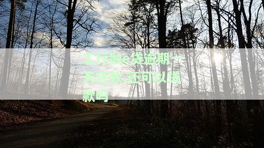 工行融e贷逾期一天还款,还可以贷款吗