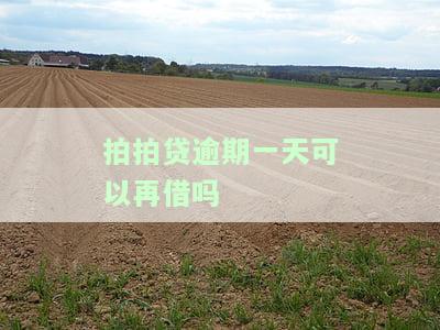 拍拍贷：逾期一天是否还能再借款？安全性如何？
