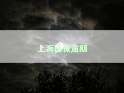 上海医保逾期怎么办，如何处理上海医保逾期问题？