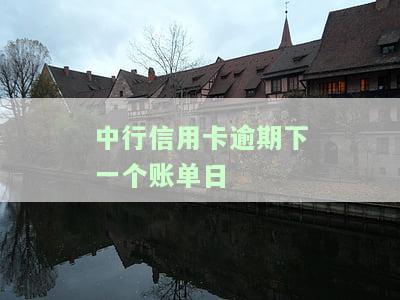 中行信用卡逾期下一个账单日怎么还款，如何在中行信用卡逾期下一个账单日后进行还款？