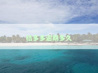 桔多多逾期多久-桔多多逾期多久会被起诉