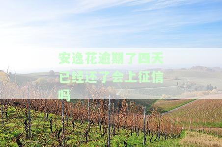 安逸花逾期4天已还款，是否会影响征信？