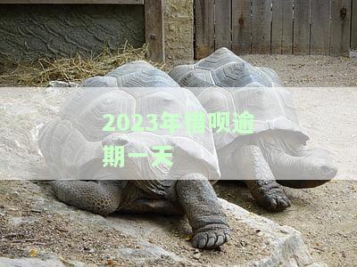 2023年借呗逾期一天-2023年借呗逾期一天有影响吗